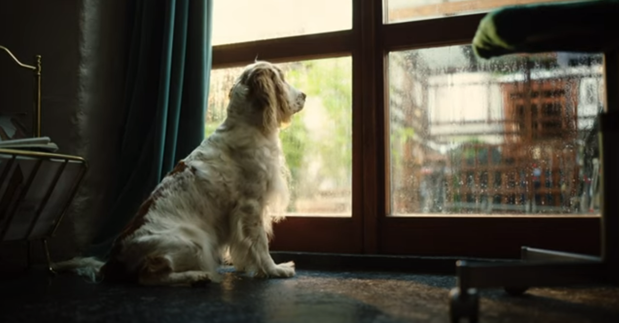 Med BoligKlar får du råd til det, du drømmer om